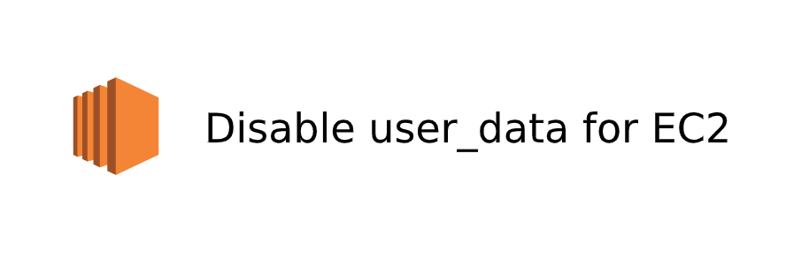 Disable user data on the EC2